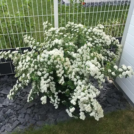 Alojamento de Acomodação e Pequeno-almoço La Maison De Romeo 3*